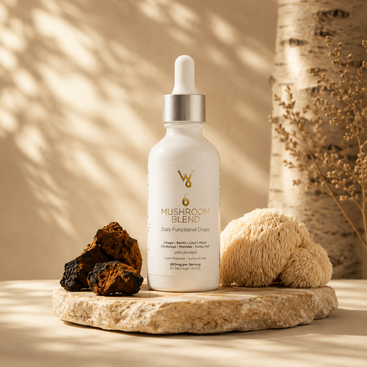 6 Mushroom Blend Daily Wellness Drops front bottle